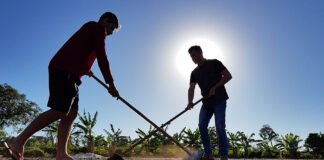 Enrique Alves - Agricultores familiares trabalham na pós-colheita e secagem do café
