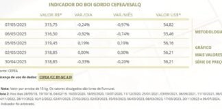 Tabela primeira semana de maio cotação da arroba do boi