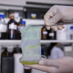 Embalagem inteligente muda de cor para avisar que o peixe estragou Matheus Falanga - As mantas, utilizadas como embalagens, são capazes de monitorar a qualidade de alimentos em tempo real pela alteração da cor.