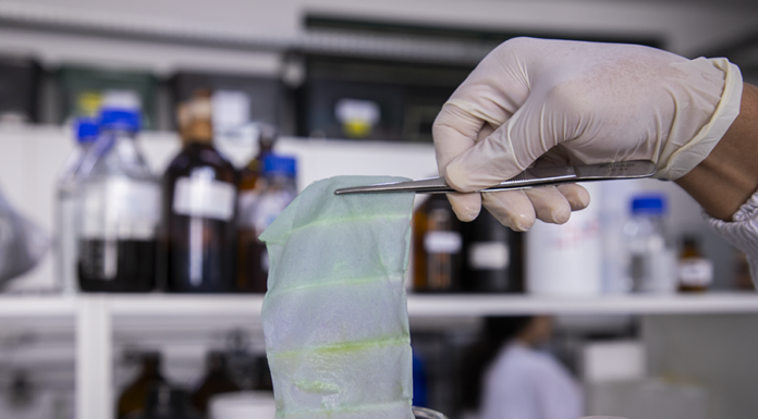 Matheus Falanga - As mantas, utilizadas como embalagens, são capazes de monitorar a qualidade de alimentos em tempo real pela alteração da cor.