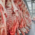 Parceria Brasil-Tailândia reforça sanidade e comércio de carnes carne bovina - autoembargo