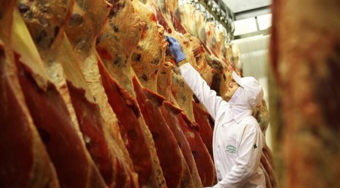 abate, carne bovina, frigoríficos, carnes - abates
