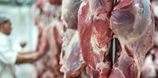 carne bovina frigoríficos