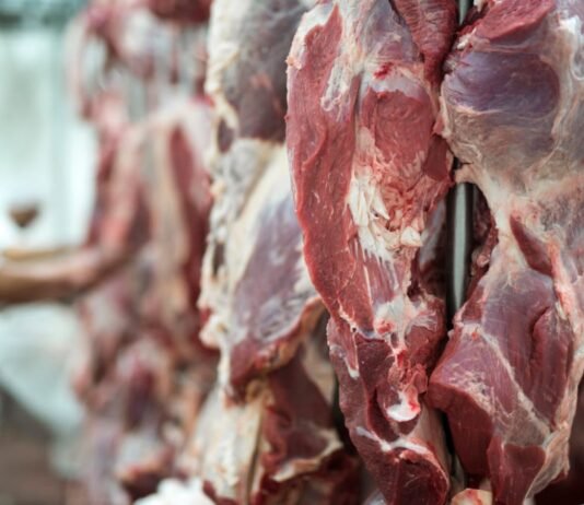carne bovina frigoríficos