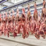 Arroba do boi gordo em baixa por conta da frente fria; veja as cotações carne