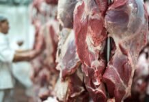 carne bovina frigoríficos