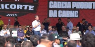 O governador Tarcísio de Freitas. Foto: Reprodução/Giro do Boi