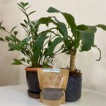 Fernando Gregio - O fertilizante é adequado a quem cultiva plantas em vasos ou em pequenos jardins
