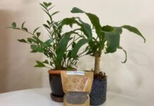 Fernando Gregio - O fertilizante é adequado a quem cultiva plantas em vasos ou em pequenos jardins