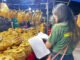 Naturatins orienta artesãos de Palmas sobre a comercialização do capim-dourado in natura