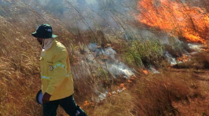 Naturatins realiza queima prescrita na região do Parque Estadual do Cantão