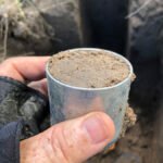 Sistemas integrados elevam produção de grãos e armazenam mais carbono no solo no Matopiba