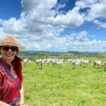 Bem-estar animal melhora produtividade, manejo e relação no agro