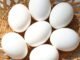 CNA levanta custos da produção de ovos, leite e outras culturas ovos