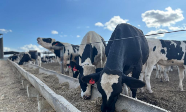 CNA realiza encontro para mapear custos da produção de leite