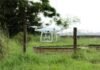 Uso de drone em experimento do projeto Pecuária do Futuro. Foto: Graziella Galinari/Embrapa Agricultura Digital
