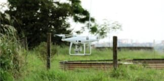 Uso de drone em experimento do projeto Pecuária do Futuro. Foto: Graziella Galinari/Embrapa Agricultura Digital
