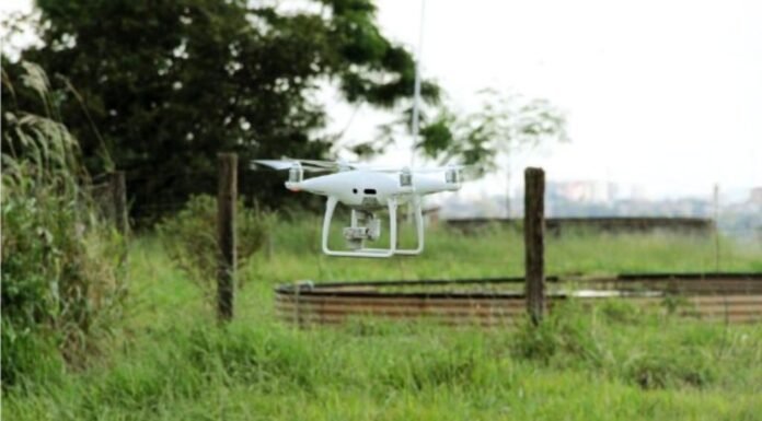 Uso de drone em experimento do projeto Pecuária do Futuro. Foto: Graziella Galinari/Embrapa Agricultura Digital
