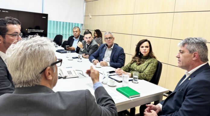 Em Brasília, Governo do Tocantins discute com MEC implantação de cursos técnicos na área de mineração