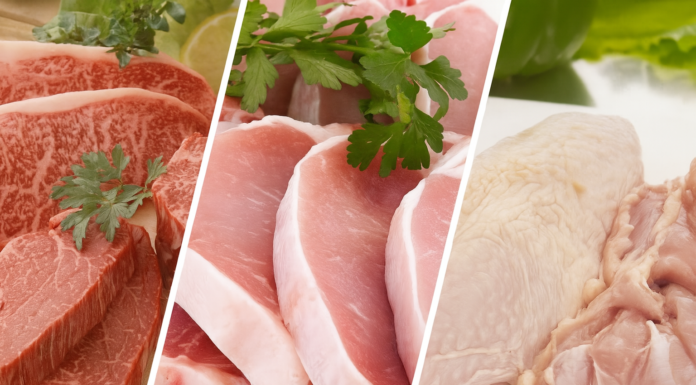 Exportações do complexo carne brasileiro somam US$ 2,2 bilhões em junho