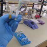 Gabriela Almeida - A análise de pólen permite entender os impactos de pesticidas sobre as abelhas e os riscos à saúde humana