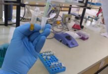 Gabriela Almeida - A análise de pólen permite entender os impactos de pesticidas sobre as abelhas e os riscos à saúde humana