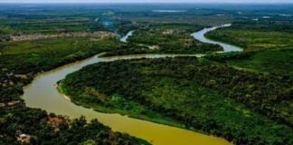 agronegócio, Pantanal, projeto