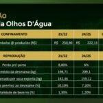 Pecuária de alta performance: os pilares da fazenda de gado mais rentável do país
