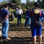 Ação de limpeza na rodovia MT-208 encabeçada pela fazenda Caruru. Foto: Divulgação/Fazenda Caruru
