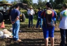 Ação de limpeza na rodovia MT-208 encabeçada pela fazenda Caruru. Foto: Divulgação/Fazenda Caruru

