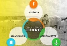 Infográfio sobre os pilares da cerca elétrica. Foto: Acervo/Ernesto Coser