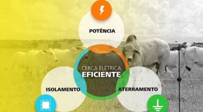 Por que sua cerca elétrica falha? O problema pode estar no equipamento Infográfio sobre os pilares da cerca elétrica. Foto: Acervo/Ernesto Coser