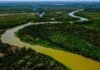 agronegócio, Pantanal, projeto