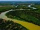 agronegócio, Pantanal, projeto