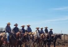 Peões na fazenda. Foto: Divulgação