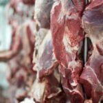 carne bovina frigoríficos