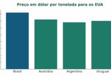 tonelada carne bovina aos EUA