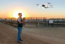 Operador de drone em área de confinamento de bovinos de corte. Foto: Divulgação