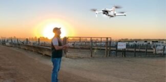 Operador de drone em área de confinamento de bovinos de corte. Foto: Divulgação