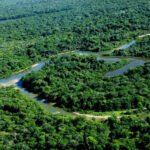 Governo do Tocantins promove ações preventivas contra febre aftosa e influenza aviária na Ilha do Bananal