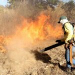 Governo do Tocantins reforça orientações para evitar incêndios florestais em propriedades rurais