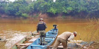 Naturatins resgata 60 tartarugas durante operação de fiscalização em Araguacema e Lagoa da Confusão