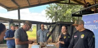 Rastreabilidade individual traz lucro e gestão para a pecuária brasileira. Entenda