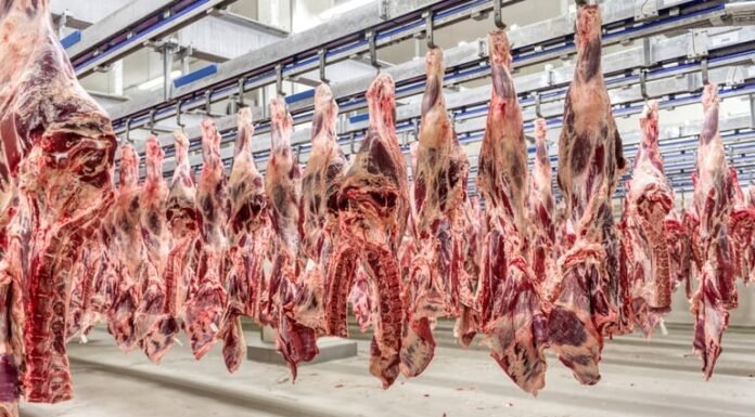 carne
