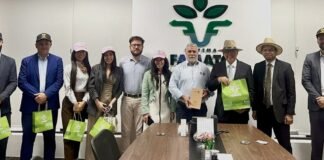 Após liberar exportações de carne bovina brasileira, Indonésia manda comitiva para visitar Mato Grosso