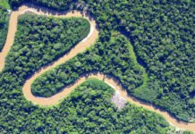 Eufran Amaral - Área de floresta nativa amazônica
