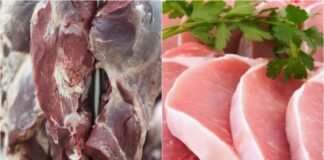 carne bovina e suína - exportação