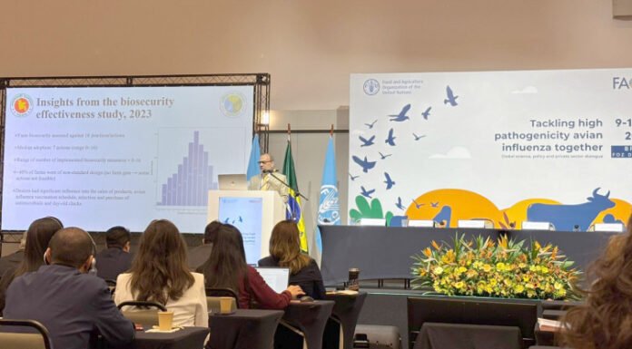 Governo do Tocantins participa de discussão global sobre influenza aviária, em Foz do Iguaçu