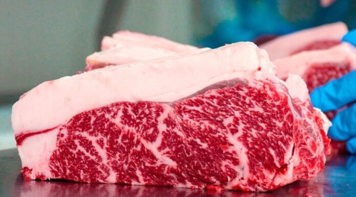 Leilão beneficente vai ofertar carne de wagyu com marmoreio máximo; saiba mais
