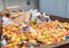  - O modelo permite aproveitar integralmente frutas e hortaliças impróprias para o consumo humano, resultado das perdas durante o transporte e armazenamento